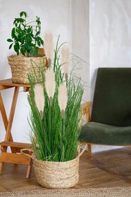 Umelá tráva Pamp v kvetináči 90 cm biela