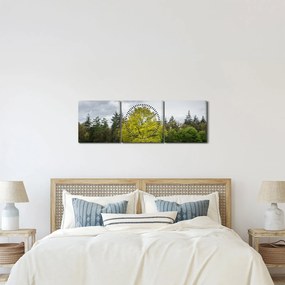 Obraz zeleného stromu uprostred poľa (s hodinami) (90x30 cm)