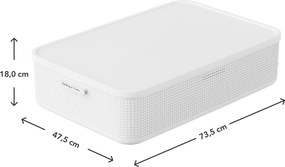 Rotho Úložný box do skrine s vekom, s levanduľou, šatníkový organizér LISORA - XL, 73,5 × 47,5 × 18 cm