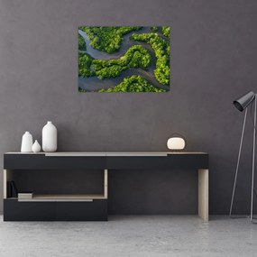 Obraz - Lesná krajina s riekou (70x50 cm)