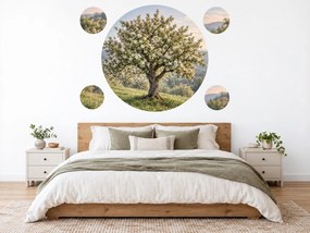 Rozkvitnutá jabloň v jarnom sade jarné textilné nálepky na stenu do spálne arch 46 x 46 cm
