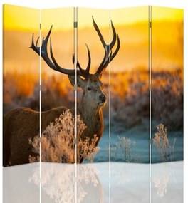 Ozdobný paraván Západ slunce s jelenem - 180x170 cm, päťdielny, obojstranný paraván 360°