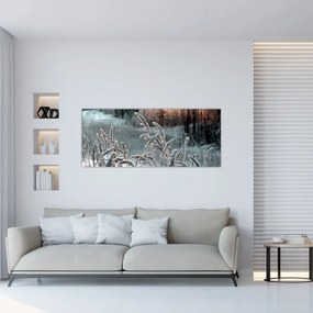 Obraz - Zamrznutá lúka (120x50 cm)