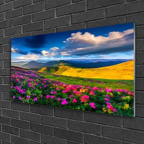 Obraz na skle Lúka kvety príroda 120x60 cm