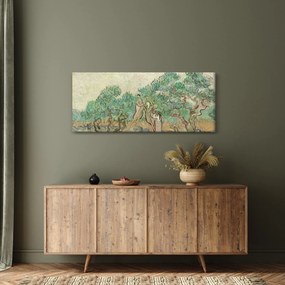 Obraz - Vincent van Gogh, The Olive Orchard, reprodukcia (120x50 cm)