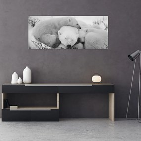 Obraz - Ľadové medvede (120x50 cm)