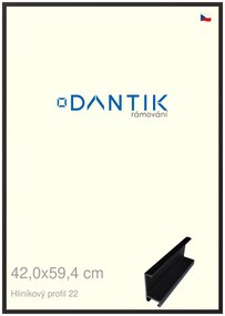 DANTIK rám na obraz 42x59,4 | ALU Černá matná (Plexi Čiré)