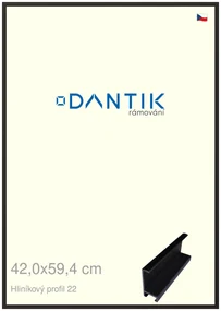 DANTIK rám na obraz 42x59,4 | ALU Černá matná (Plexi Čiré)