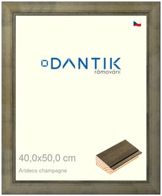 DANTIK rám na obraz 40x50 | Artdeco Champagne (Sklo Čiré)
