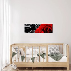 Obraz - Kvety ruží (s hodinami) (90x30 cm)