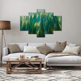Obraz - Borovicový les (150x105 cm)