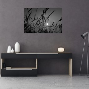 Obraz - Lúka so západom slnka (90x60 cm)