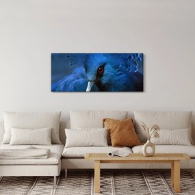 Obraz - Holub korunovaný (120x50 cm)