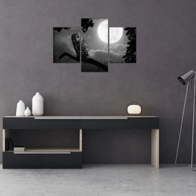 Obraz - Nočná sova, čiernobiela (90x60 cm)