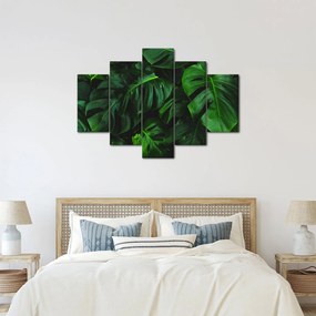 Obraz listov Monstery (150x105 cm)