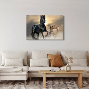 Obraz - Kone (90x60 cm)