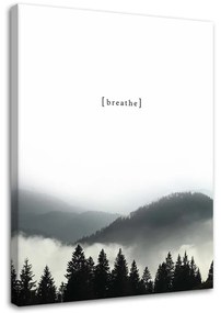Obraz na plátně Horský les v mlze - 60x90 cm