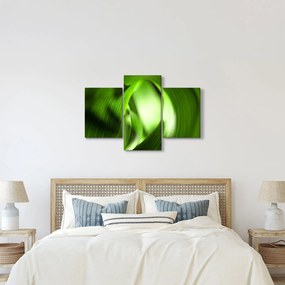 Obraz - Steblo trávy (90x60 cm)