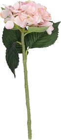 Vetvička hortenzie 50 cm