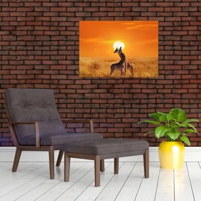 Obraz - Žirafy v národnom parku Serengeti (70x50 cm)