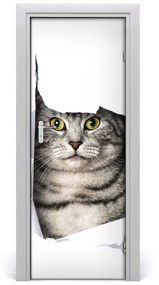 Fototapeta samolepiace na dvere mačka v diere 95x205 cm