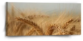 Sablio Obraz Klasy 2 - 110x50 cm