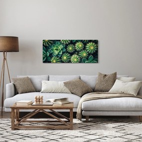 Obraz - Kaktusy (120x50 cm)