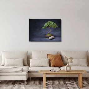 Sklenený obraz - Bonsai (70x50 cm)