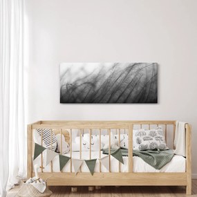 Obraz - Tráva vo vetre (120x50 cm)