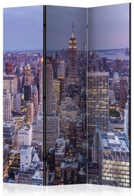 Artgeist Paraván - Evening City [Room Dividers]