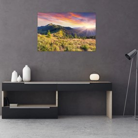 Obraz - Lesná krajina (90x60 cm)