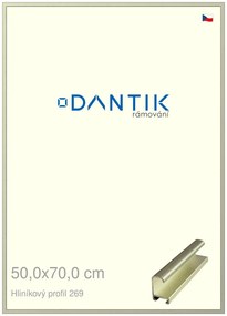 DANTIK rám na obraz 50x70 | ALU Šedá Pyrit broušená (Plexi Čiré)