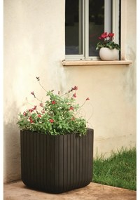 Keter Plastový kvetináč Cube planter M hnedá, 30 x 30 x 30 cm