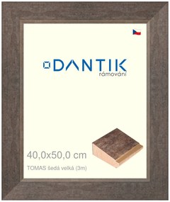 DANTIK rám na obraz 40x50 | TOMAS šedá velká (Plexi Čiré)