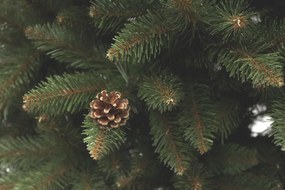 Vianočný stromček Smrek horský so šiškou 180 cm