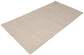 Livarno home Koberec s dlhým vlasom, 80 x 150 cm (béžová)  (100392535)