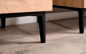 Skrinka 2-dverová Nola, dub artisan/čierna