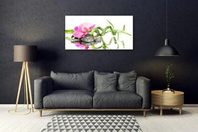 Skleneny obraz Bambus kvet kamene umenie 125x50 cm