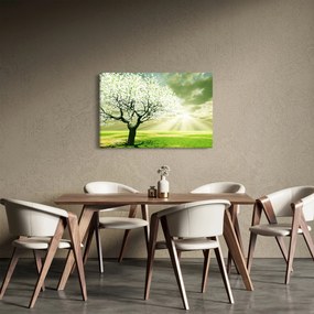 Obraz stromu na lúke (90x60 cm)