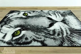 Koberec Rainbow 11179/190 tiger