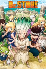 Plagát, Obraz - DR. Stone - Group, (61 x 91.5 cm)