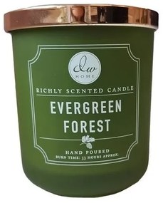 dw HOME Vonná sviečka Evergreen Forest 445 g