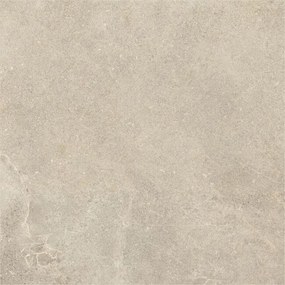 Dlažba Dome Nut 60x60 R