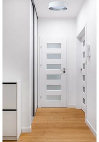 LED Stropné svietidlo GALAXY LED/24W/230V biela/strieborná