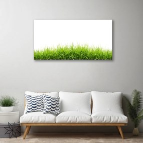 Obraz na plátne Tráva príroda rastlina 140x70 cm