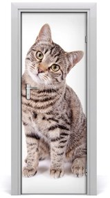 Samolepiace fototapety na dvere mačka 95x205 cm