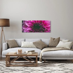 Obraz ružového kvetu (120x50 cm)