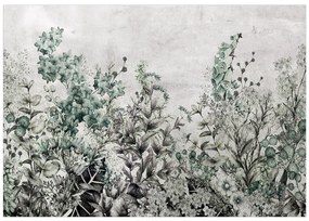 Artgeist Fototapeta - Mystery of Herbs Veľkosť: 250x175, Verzia: Standard