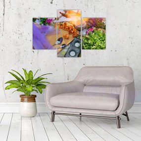 Obraz - letný piknik (90x60 cm)