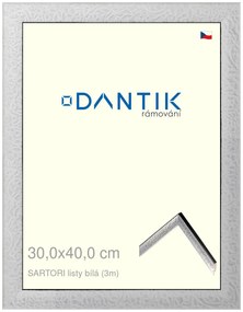 DANTIK rám na obraz 30x40 | SARTORI listy čílá (Plexi Čiré)